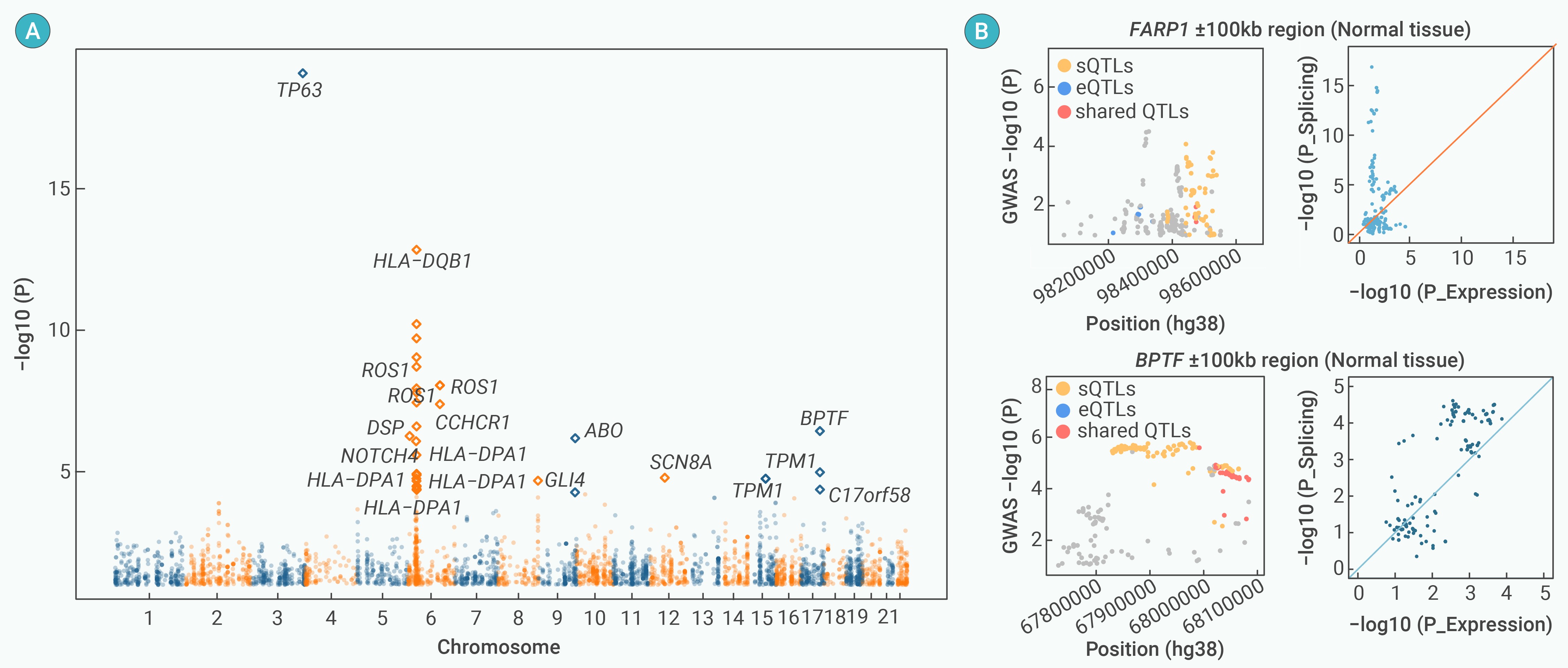 Genetic-informed alternative RNA splicing serves an essential role in ...