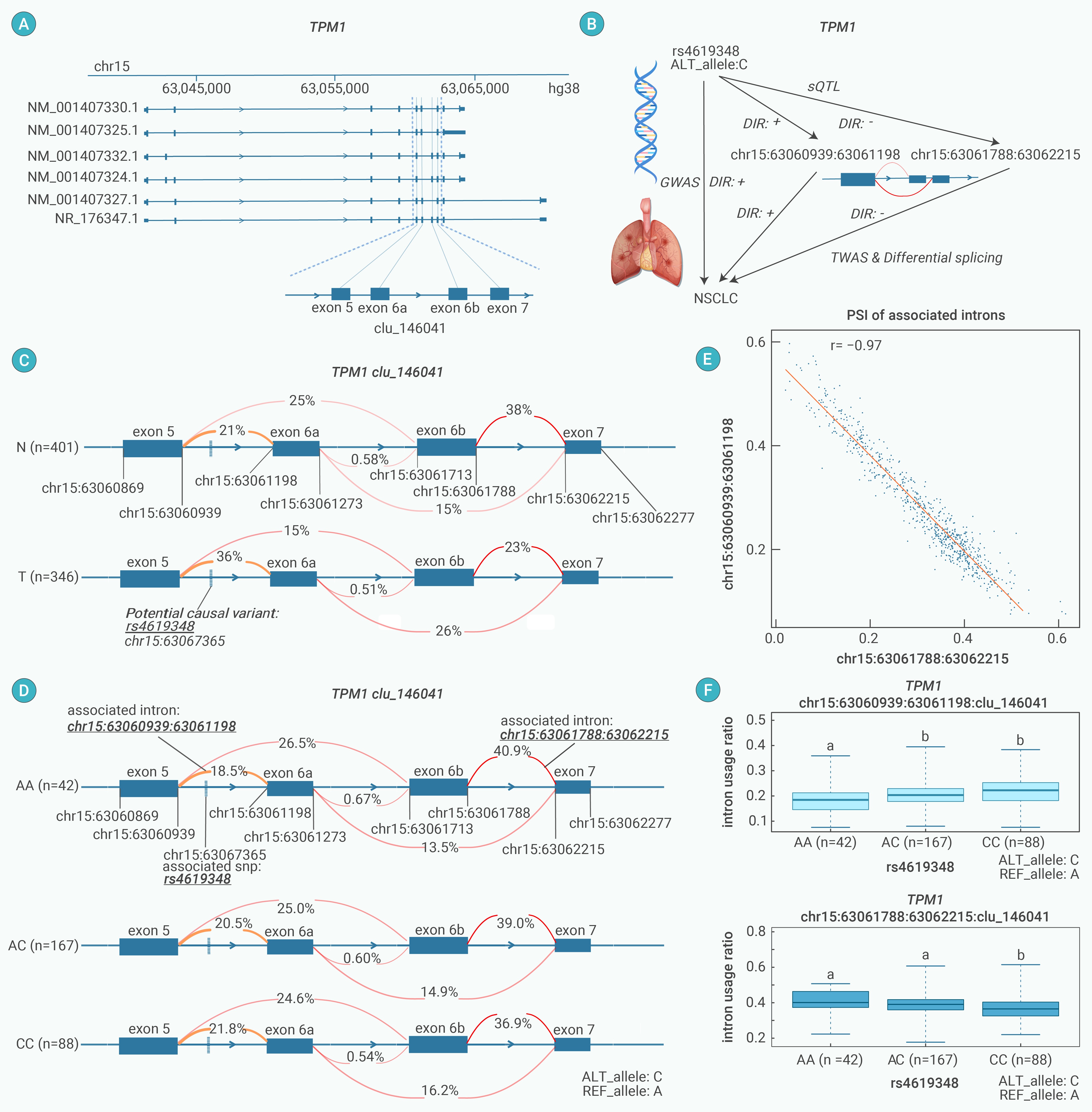 Genetic-informed alternative RNA splicing serves an essential role in ...
