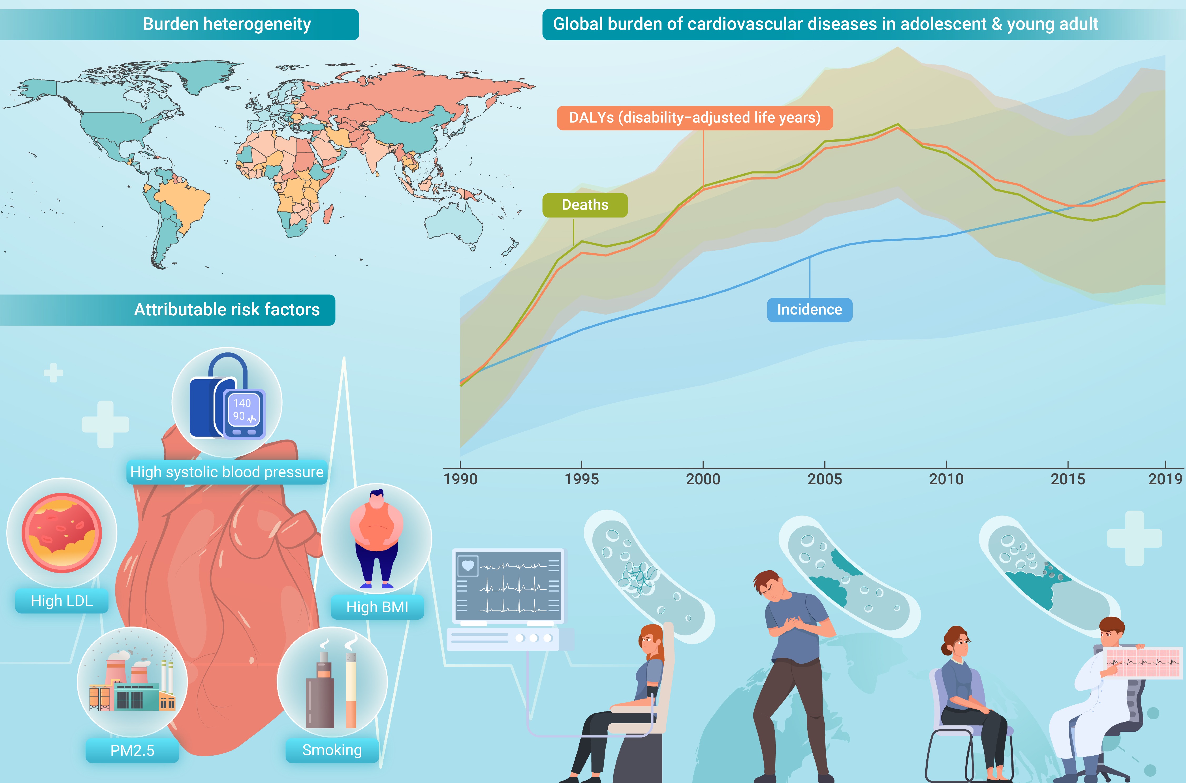 Global burden of adolescent and young adult cardiovascular diseases and ...